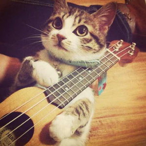 黑人性爱视频大战
